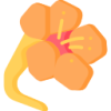 ky开云 logo