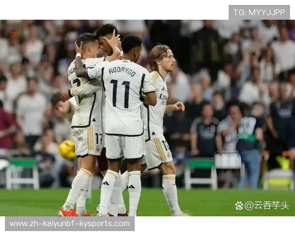 德甲球队球迷道歉视频合集：典型事件回顾